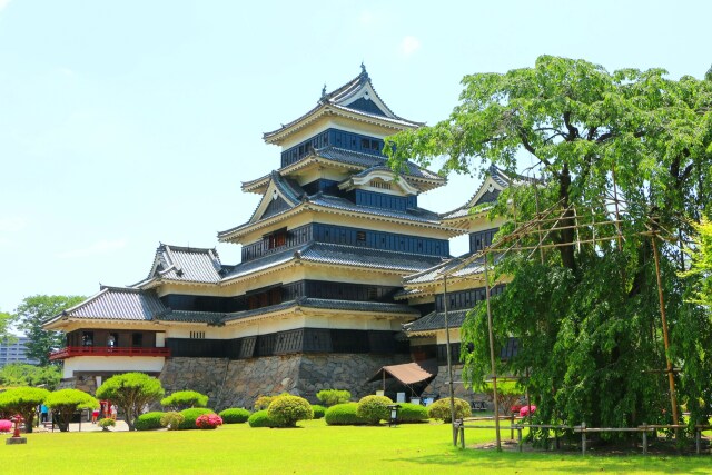 初夏の松本城