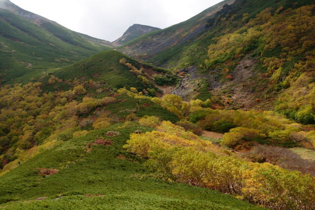 色づく乗鞍