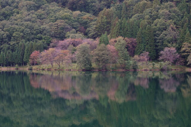 湖畔にて