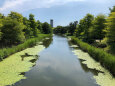 夏の水路