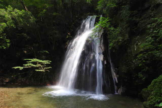 渓谷の夏 滝