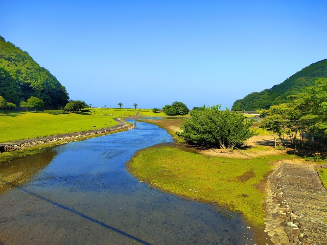 初夏の水辺