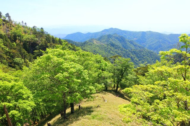 初夏の大台ケ原