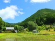 初夏の里山