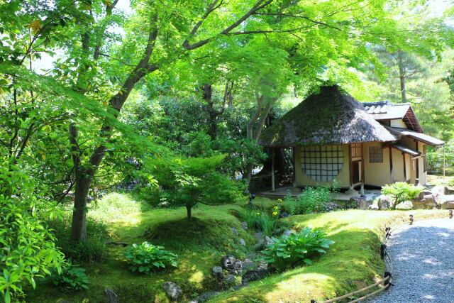 初夏の高台寺