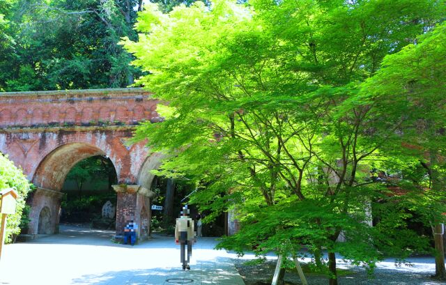 初夏の南禅寺