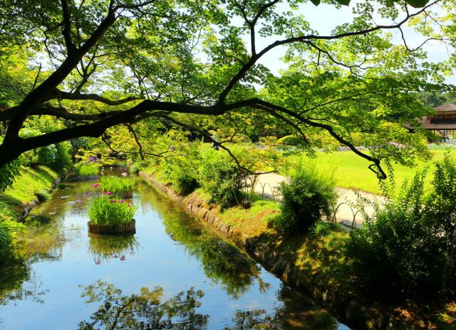 初夏の後楽園