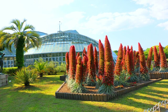 京都府立植物園