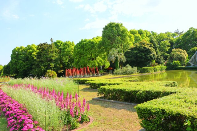 初夏の植物園