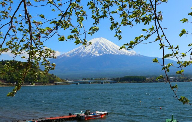 新緑の河口湖