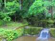 初夏の清流