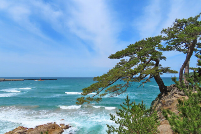 山陰海岸 夏 浦富