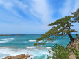 山陰海岸 夏 浦富