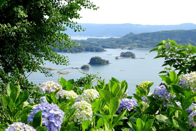 紫陽花の咲く丘から いろは島