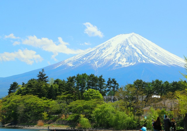 新緑の河口湖