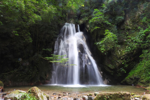 渓谷の夏 滝 4