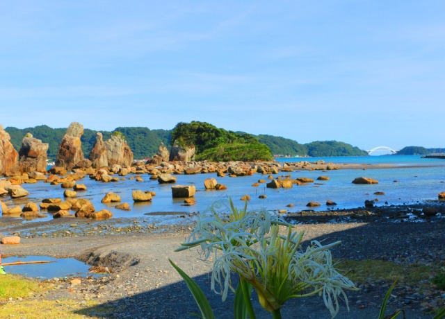 初夏の海