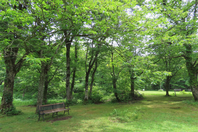 高原の公園 初夏