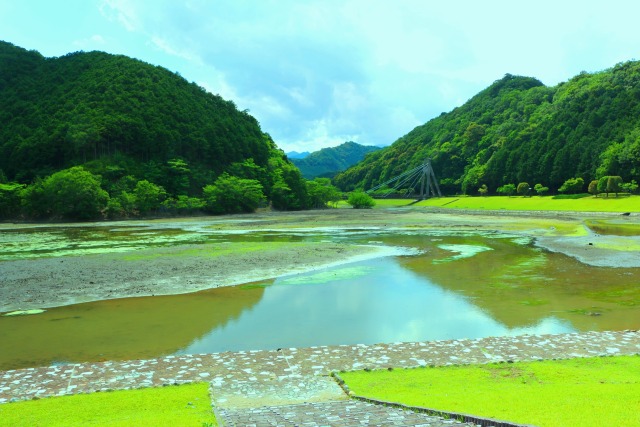 初夏の水辺