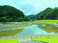 初夏の水辺