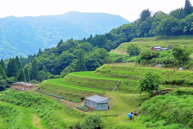 山里 棚田 初夏