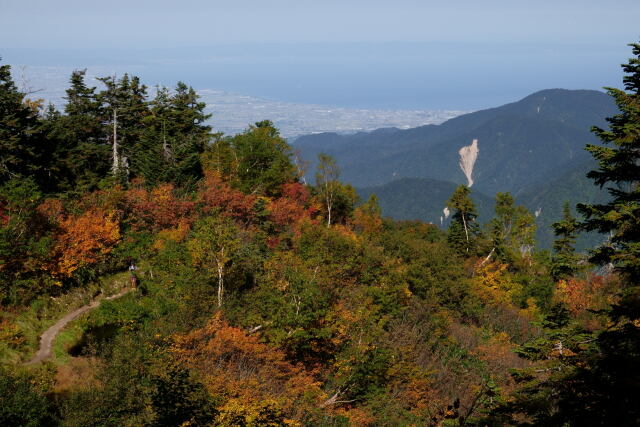 富山湾を望む