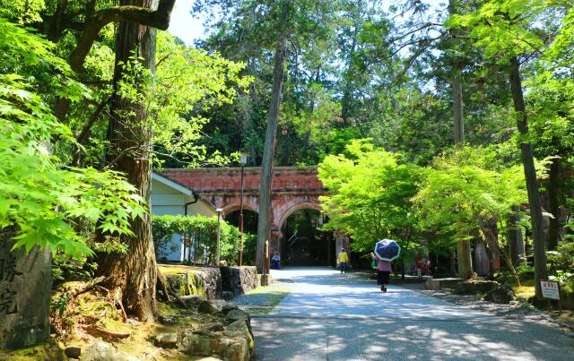 初夏の南禅寺