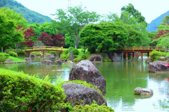 初夏の水辺