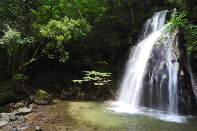 渓谷の夏 滝 6