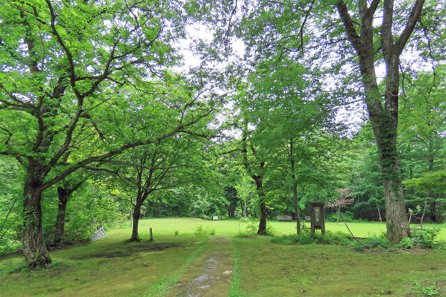 高原の公園 初夏 2