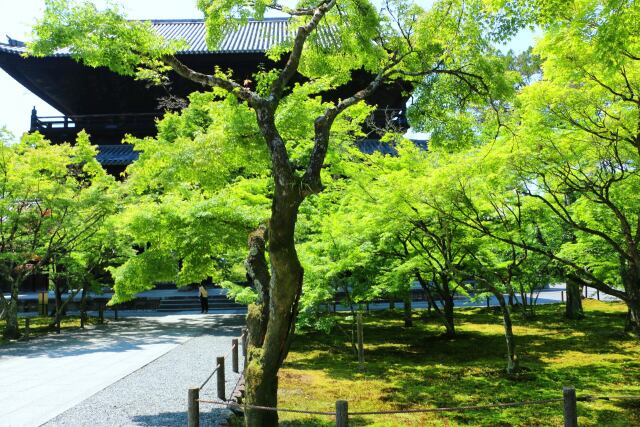 初夏の南禅寺