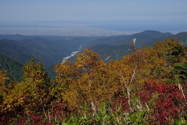 富山湾を望む