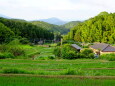 梅雨が明ける頃 山村棚田