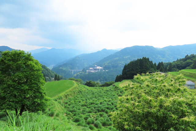 山里 初夏の風景