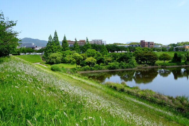 一気に梅雨明け