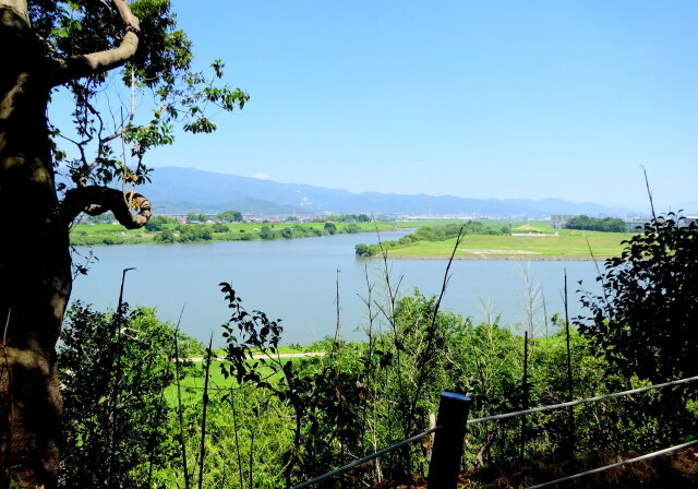 久留米城址から筑後川と宝満川