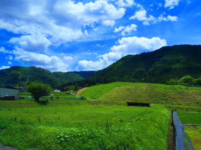 夏の里山