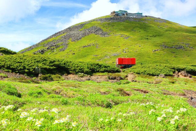 夏の乗鞍岳