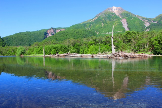 夏の大正池2022