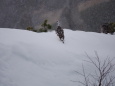 燕岳の雄雷鳥7