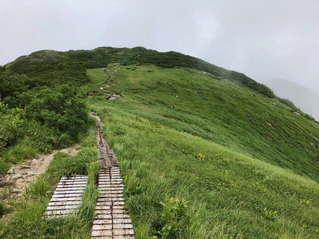 大日岳稜線