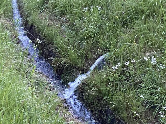 水の恵み