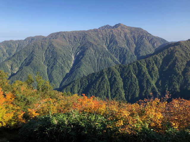 秋の山