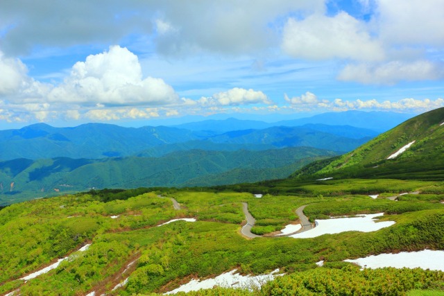 夏の乗鞍岳