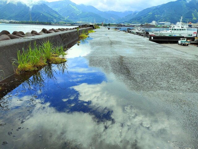 雨上がりの堤防