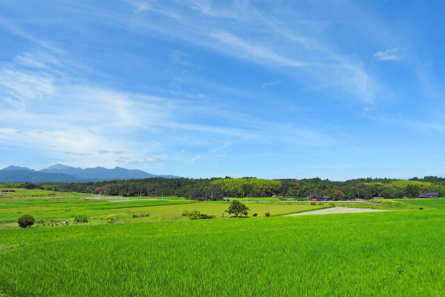 山里 田園 夏