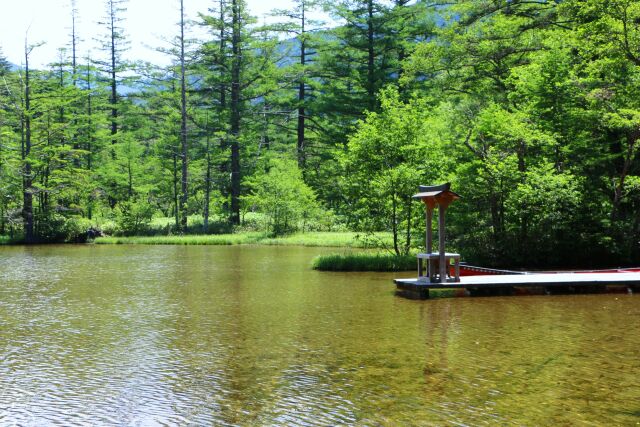 夏の明神池