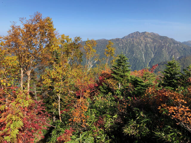 秋の山