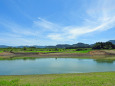 夏の風景 池 夏空