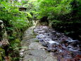 涼景 滝流水の遊歩道